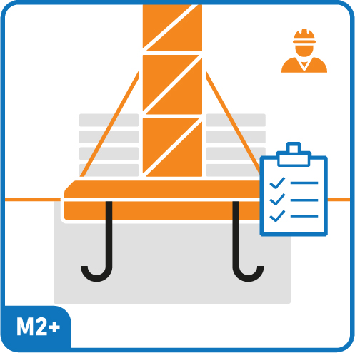Delta Structure Diagnostic Structure Lyon M2 1