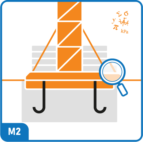Delta Structure Diagnostic Structure Lyon M2